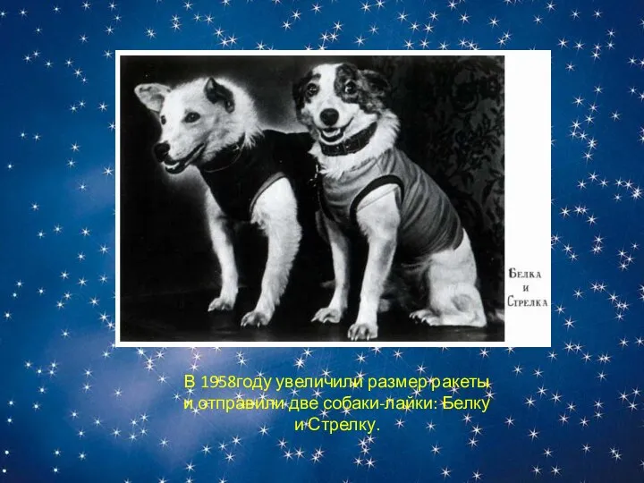 В 1958году увеличили размер ракеты и отправили две собаки-лайки: Белку и Стрелку.
