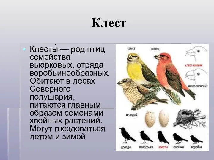 Клест Клесты́ — род птиц семейства вьюрковых, отряда воробьинообразных. Обитают в лесах Северного