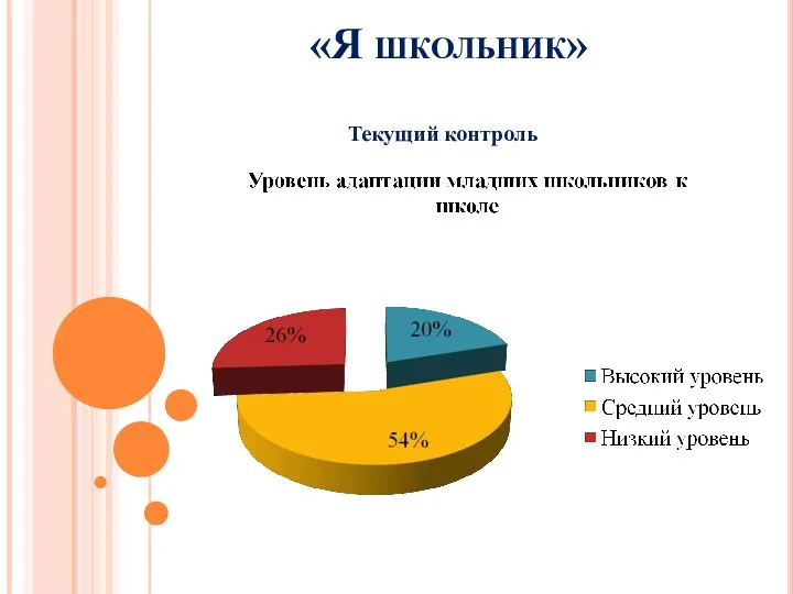 «Я школьник» Текущий контроль