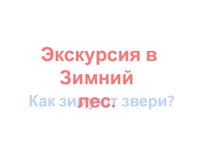 Как зимуют звери? Экскурсия в Зимний лес.