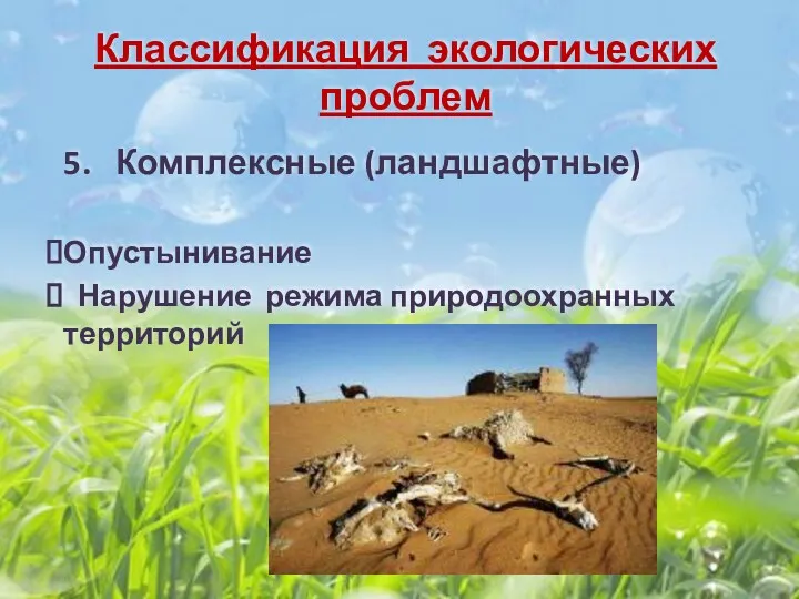 Классификация экологических проблем 5. Комплексные (ландшафтные) Опустынивание Нарушение режима природоохранных территорий