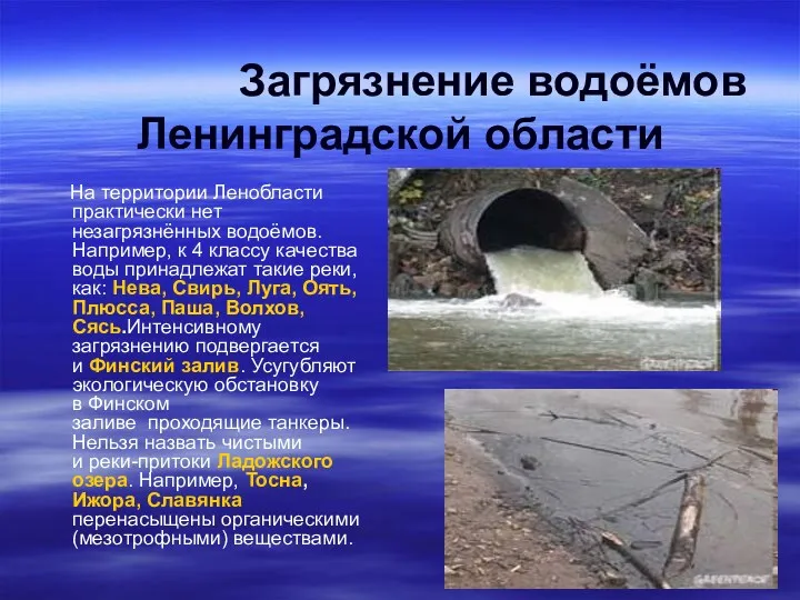 Загрязнение водоёмов Ленинградской области На территории Ленобласти практически нет незагрязнённых водоёмов. Например, к