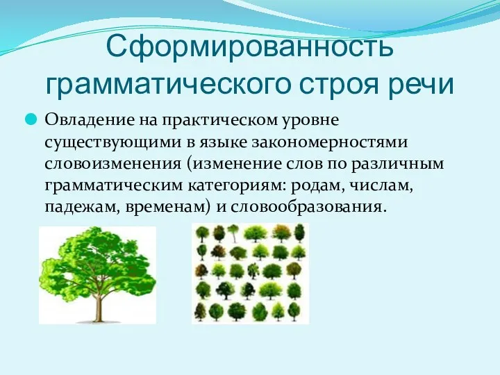 Сформированность грамматического строя речи Овладение на практическом уровне существующими в