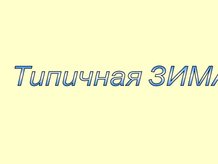 Типичная ЗИМА