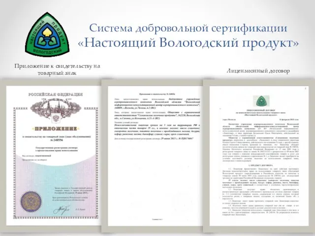 Система добровольной сертификации «Настоящий Вологодский продукт» Приложение к свидетельству на товарный знак Лицензионный договор
