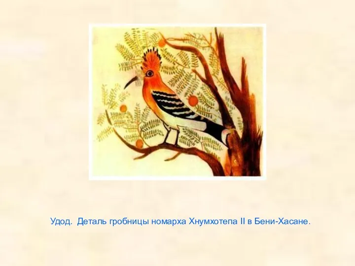 Удод. Деталь гробницы номарха Хнумхотепа II в Бени-Хасане.