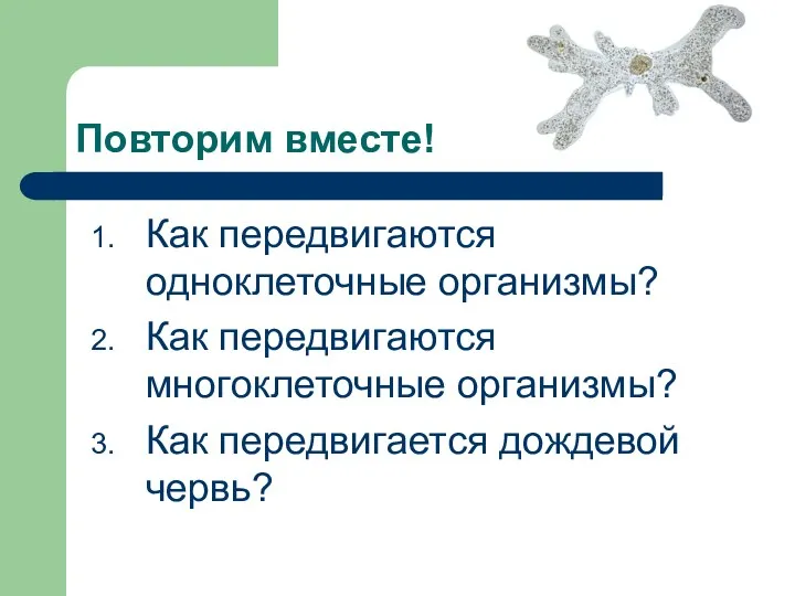 Повторим вместе! Как передвигаются одноклеточные организмы? Как передвигаются многоклеточные организмы? Как передвигается дождевой червь?