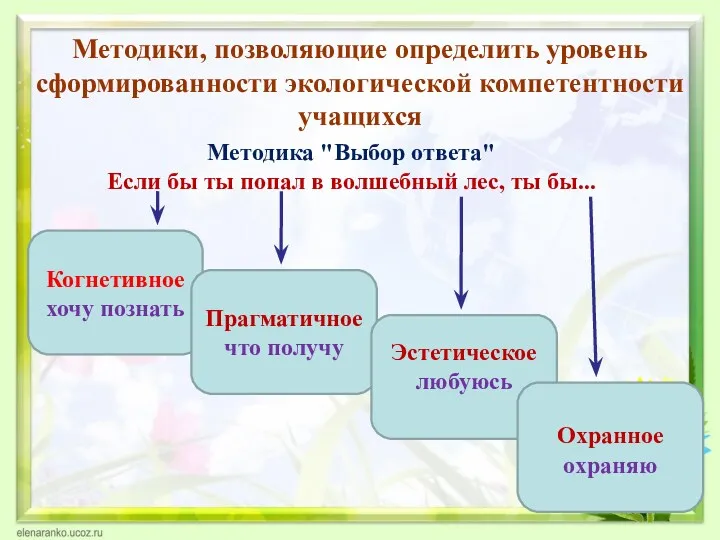 Методики, позволяющие определить уровень сформированности экологической компетентности учащихся Методика "Выбор