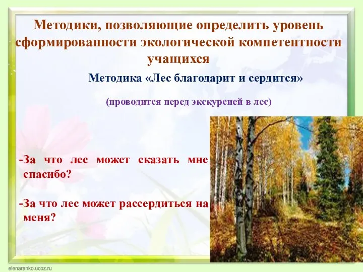 Методики, позволяющие определить уровень сформированности экологической компетентности учащихся Методика «Лес