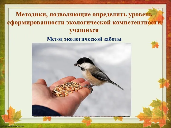 Методики, позволяющие определить уровень сформированности экологической компетентности учащихся Метод экологической заботы