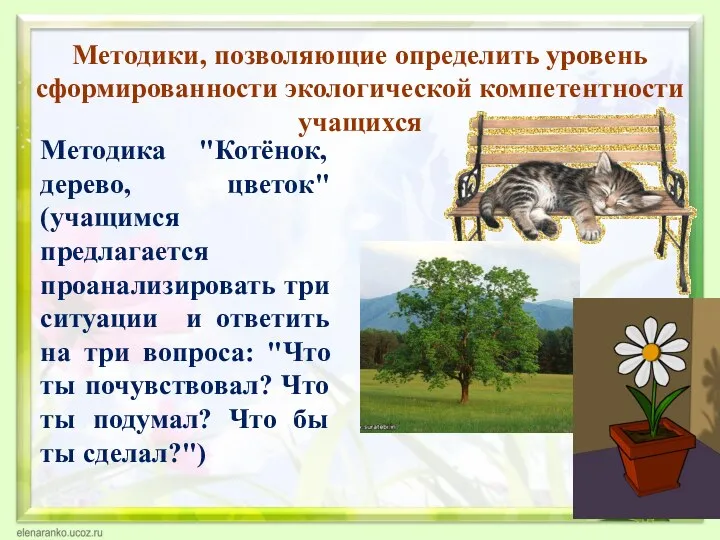 Методики, позволяющие определить уровень сформированности экологической компетентности учащихся Методика "Котёнок,