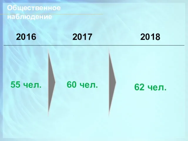 Общественное наблюдение