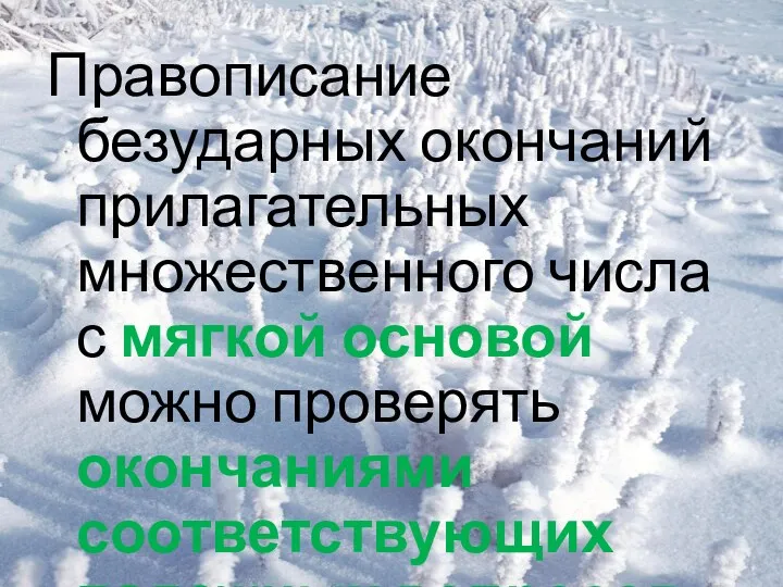 Правописание безударных окончаний прилагательных множественного числа с мягкой основой можно проверять окончаниями соответствующих падежных вопросов.