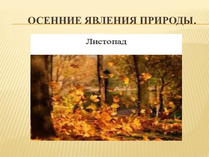 Осенние явления природы.