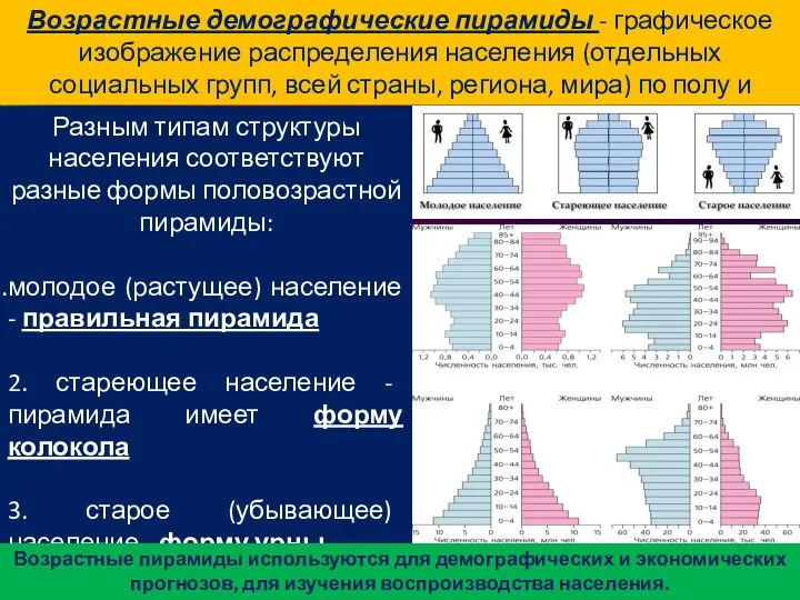 Разным типам структуры населения соответствуют разные формы половозрастной пирамиды: молодое