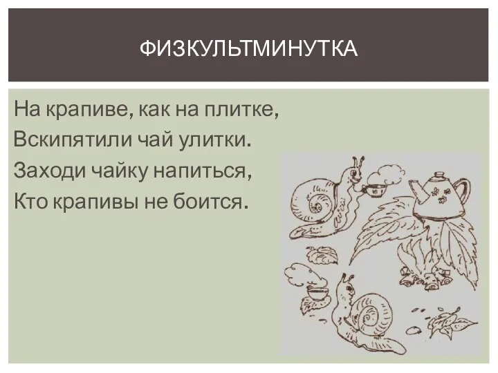 На крапиве, как на плитке, Вскипятили чай улитки. Заходи чайку напиться, Кто крапивы не боится. Физкультминутка