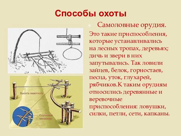 Способы охоты Самоловные орудия. Это такие приспособления, которые устанавливались на