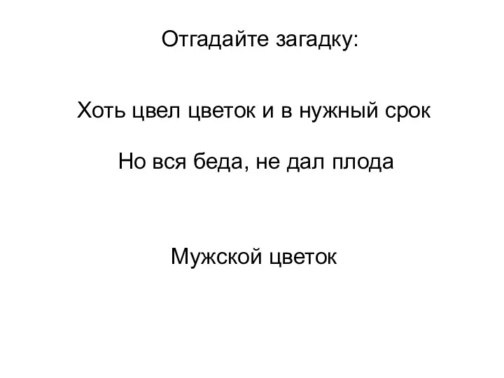 Отгадайте загадку: Хоть цвел цветок и в нужный срок Но