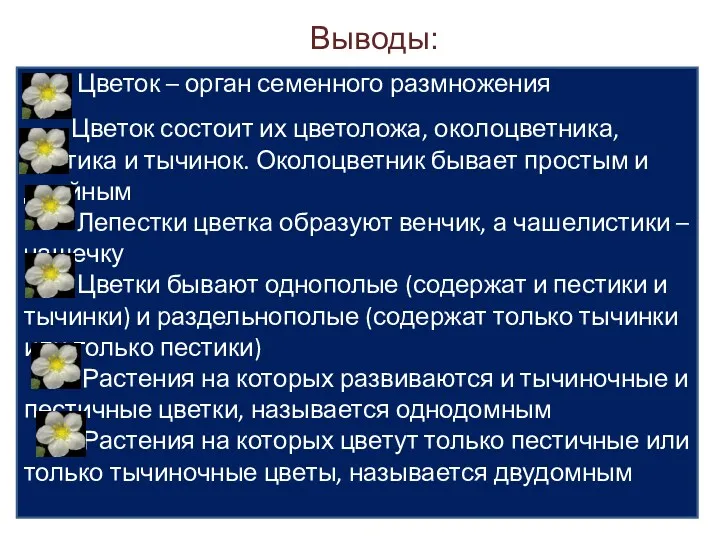 Цветок – орган семенного размножения Цветок состоит их цветоложа, околоцветника,