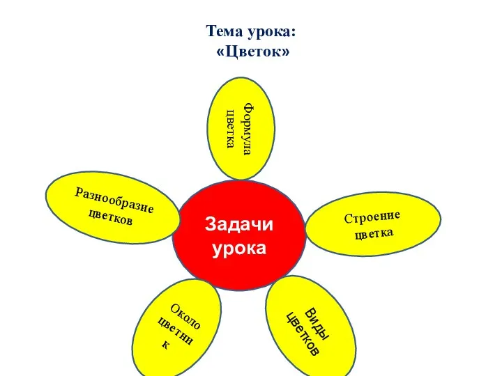 Задачи урока Виды цветков Строение цветка Околоцветник Разнообразие цветков Формула цветка Тема урока: «Цветок»