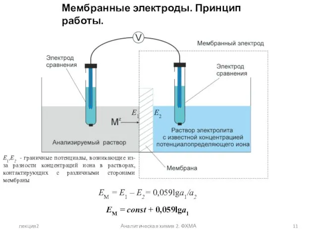 лекция2 Аналитическая химия 2. ФХМА Мембранные электроды. Принцип работы. EМ