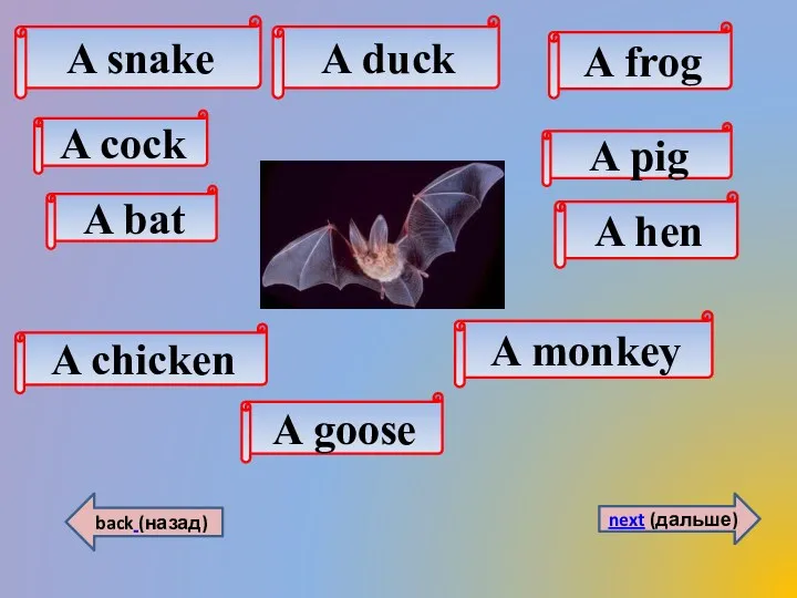 A duck A chicken A frog back (назад) next (дальше)