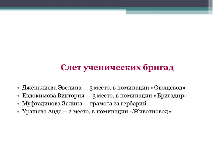 Слет ученических бригад Дженалиева Эвелина — 3 место, в номинации