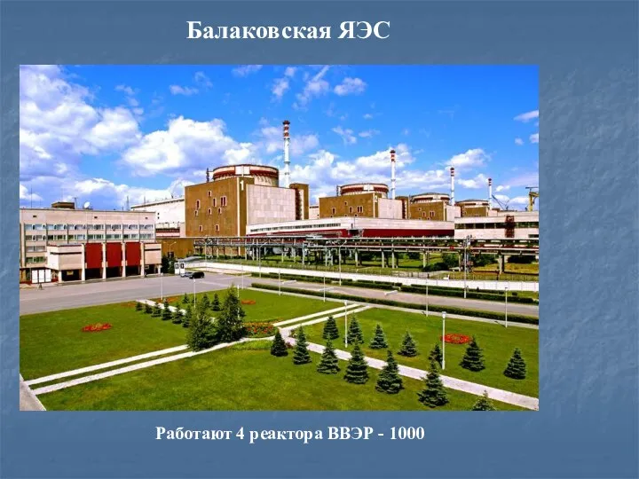 Балаковская ЯЭС Работают 4 реактора ВВЭР - 1000
