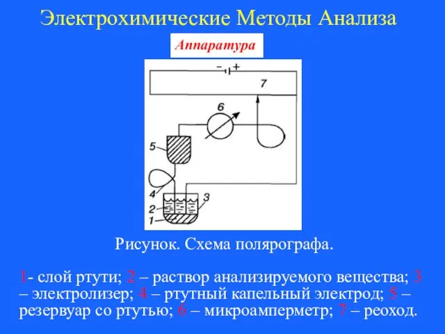 Электрохимические Методы Анализа Аппаратура Рисунок. Схема полярографа. 1- слой ртути;