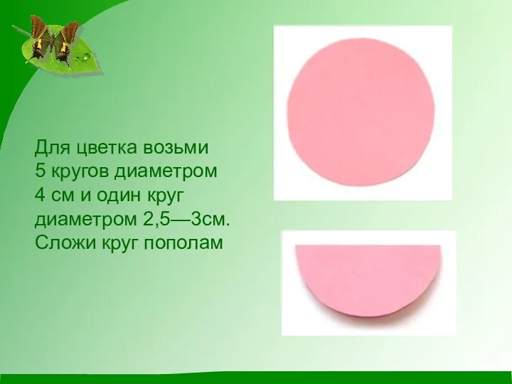 Для цветка возьми 5 кругов диаметром 4 см и один круг диаметром 2,5—3см. Сложи круг пополам