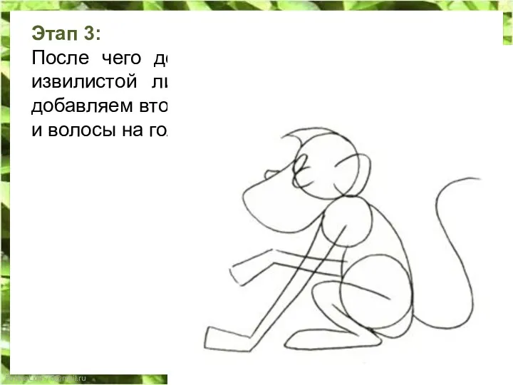 Этап 3: После чего делаем набросок хвоста в виде извилистой лини, горизонтальными линиями