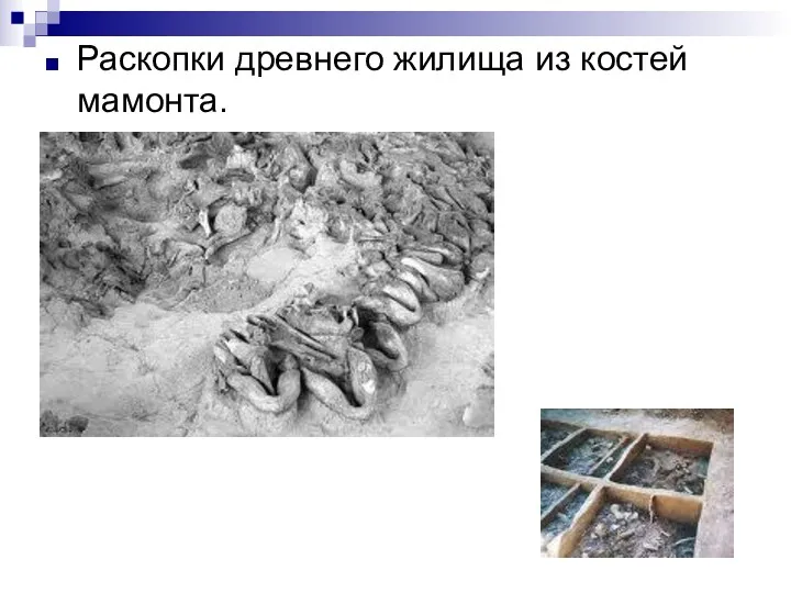 Раскопки древнего жилища из костей мамонта.