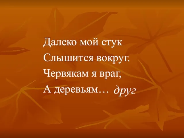 Далеко мой стук Слышится вокруг. Червякам я враг, А деревьям… друг