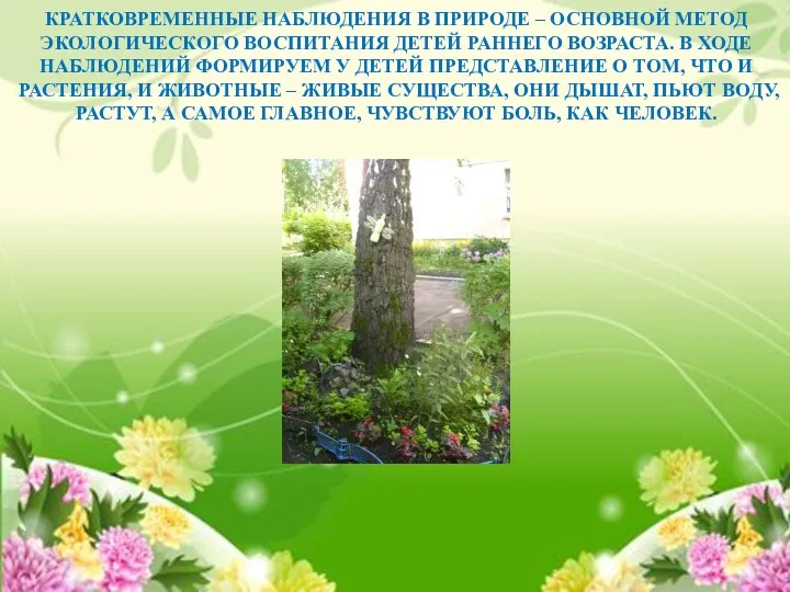 КРАТКОВРЕМЕННЫЕ НАБЛЮДЕНИЯ В ПРИРОДЕ – ОСНОВНОЙ МЕТОД ЭКОЛОГИЧЕСКОГО ВОСПИТАНИЯ ДЕТЕЙ