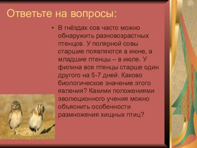 Ответьте на вопросы: В гнёздах сов часто можно обнаружить разновозрастных