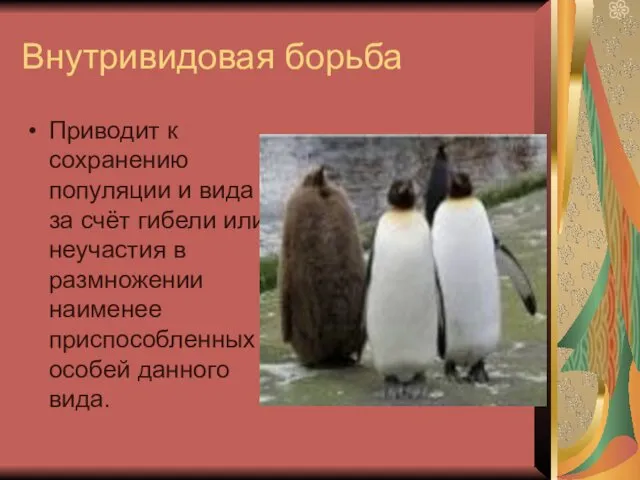 Внутривидовая борьба Приводит к сохранению популяции и вида за счёт