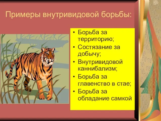 Примеры внутривидовой борьбы: Борьба за территорию; Состязание за добычу; Внутривидовой каннибализм; Борьба за