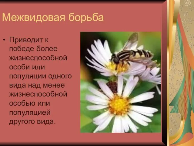 Межвидовая борьба Приводит к победе более жизнеспособной особи или популяции