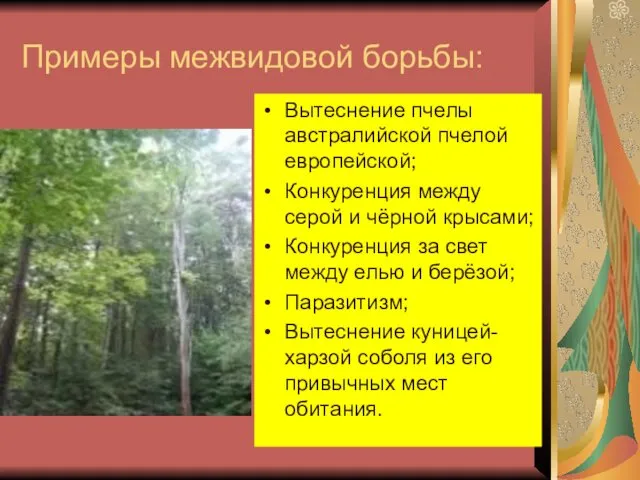 Примеры межвидовой борьбы: Вытеснение пчелы австралийской пчелой европейской; Конкуренция между серой и чёрной