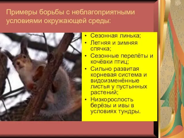 Примеры борьбы с неблагоприятными условиями окружающей среды: Сезонная линька; Летняя и зимняя спячка;