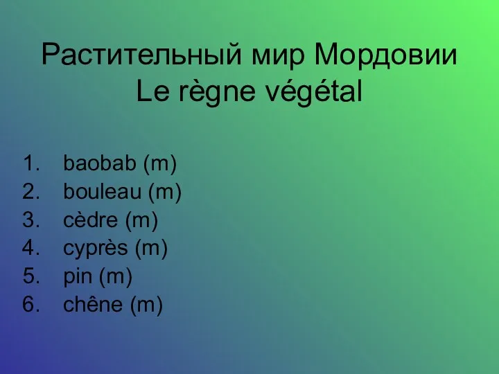 Растительный мир Мордовии Le règne végétal baobab (m) bouleau (m)