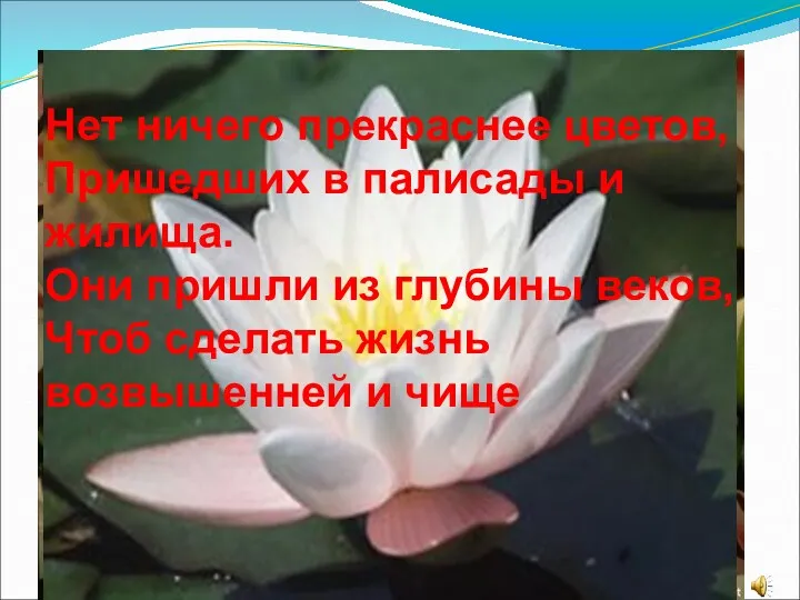 Нет ничего прекраснее цветов, Пришедших в палисады и жилища. Они