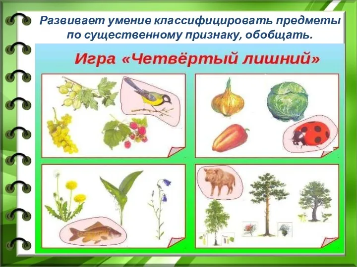 Развивает умение классифицировать предметы по существенному признаку, обобщать.