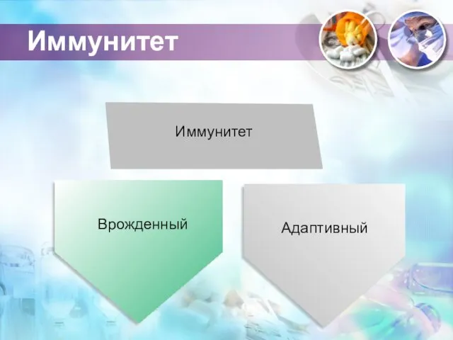 Иммунитет Адаптивный Иммунитет Врожденный