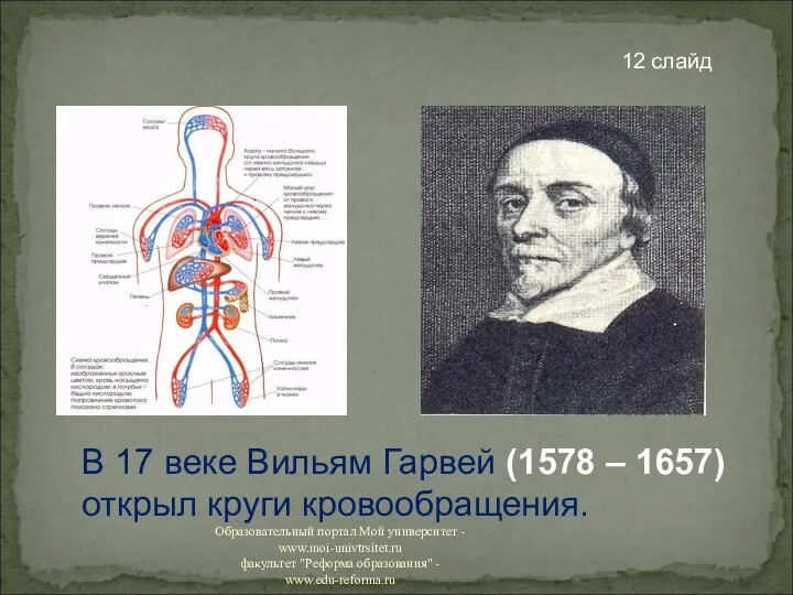 В 17 веке Вильям Гарвей (1578 – 1657) открыл круги кровообращения. 12 слайд
