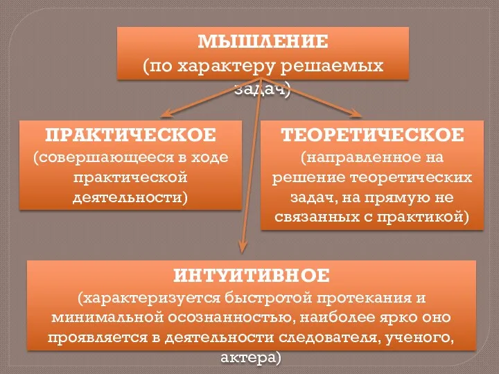 Мышление (по характеру решаемых задач) теоретическое (направленное на решение теоретических задач, на прямую