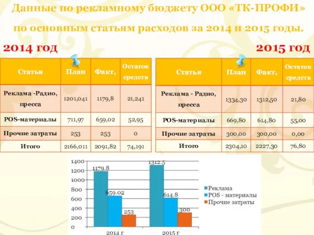 Данные по рекламному бюджету ООО «ТК-ПРОФИ» по основным статьям расходов