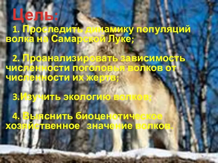 Цель: 1. Проследить динамику популяций волка на Самарской Луке; 2.