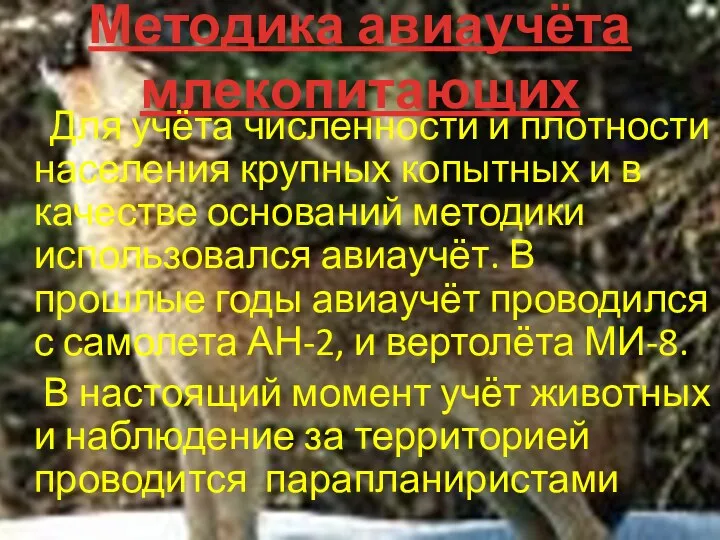 Методика авиаучёта млекопитающих Для учёта численности и плотности населения крупных