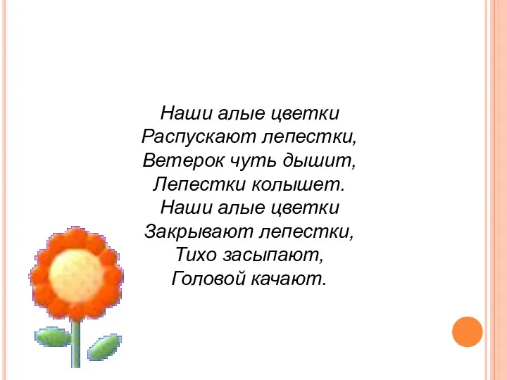 Наши алые цветки Распускают лепестки, Ветерок чуть дышит, Лепестки колышет.